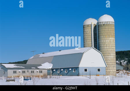 Scheune und Silo auf Milchviehbetrieb im Winter Ville-Marie Quebec Kanada Stockfoto