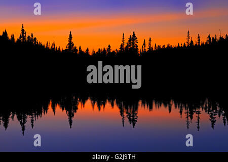 Reflexion der borealen Wald bei Sonnenuntergang Franquelin Quebec Kanada Stockfoto