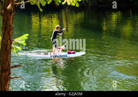 Ein Paddel-Boarder und ihr Hund paddeln am Lake Thetis in Thetis Lake Regional Park in Victoria, British Columbia. Stockfoto