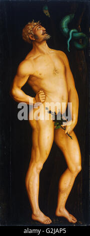 Hans Baldung Grien - Adam - Museum of Fine Arts, Budapest Stockfoto