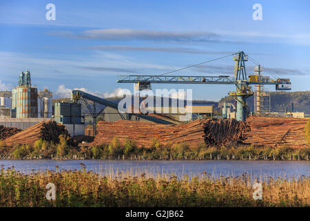 Zellstoff- und Papierfabrik, Thunder Bay, Ontario, Kanada Stockfoto