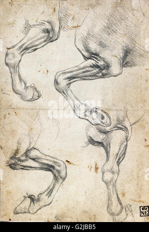Leonardo da Vinci - Studien des Pferdes Bein - Museum of Fine Arts, Budapest Stockfoto