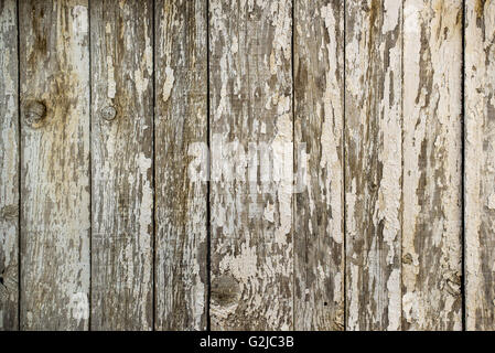 Weiße Farbe blätterte von der hölzernen Wand, veraltete Holzplanken Textur Stockfoto