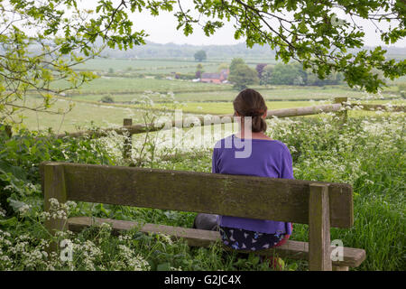 Einen Sitzplatz mit Aussicht im Frühling in der Nähe von Bosworth Schlachtfeld Heritage Centre, Leicestershire, England, UK Stockfoto