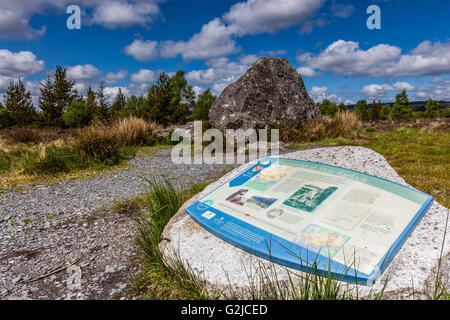 Bruces Stein, in der Nähe von Clatteringhsaws Loch, Galloway Forest Park, Dumfries and Galloway, Schottland Stockfoto