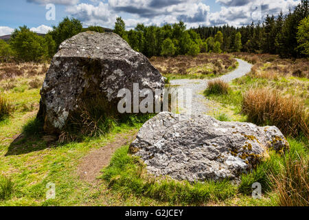 Bruces Stein, in der Nähe von Clatteringshaw Loch, Galloway Forest Park, Dumfries & Galloway, Schottland Stockfoto