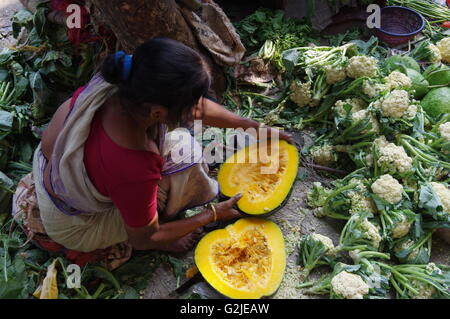 Pflanzlichen Hawker in Kolkata, Indien Stockfoto