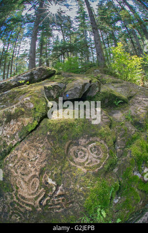 Nuxalk Petroglyphen, gemäßigten Regenwald, Bella Coola, Küsten Britisch-Kolumbien Stockfoto
