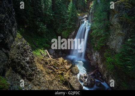 Lady Wasserfall Strathcona Provincial Park in der Nähe von Campbell River, Britisch-Kolumbien, Kanada Stockfoto