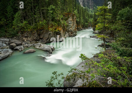 Fraser River bei Overlander Falls Trail, Mount Robson Provincial Park in der Nähe von Valemount, Britisch-Kolumbien, North Thompson Stockfoto