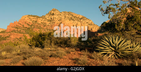 Malerischen roten Felsformationen im Coconino National Forest Sedona AZ geologisch - Hämatit/Eisen-Oxid Sedimentgestein festgelegten Stockfoto