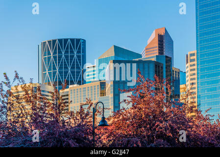 Skyline bei Eau Claire Plaza, Calgary, Alberta, Kanada Stockfoto