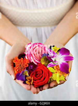 Bunte Blumen in Händen Stockfoto
