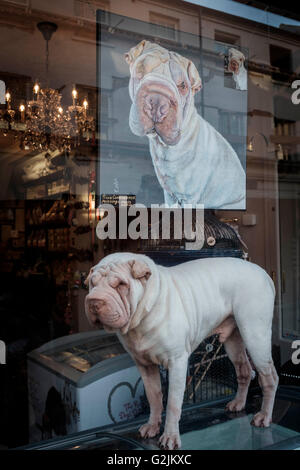 SharPei Rüde steht unter seinem Porträt, Richmond, Surrey, England Stockfoto