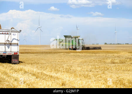 John Deere Mähdrescher erntet Weizen, während eine Semi steht für Getreide Laden in Oklahoma, USA. Windpark im Hintergrund. Stockfoto