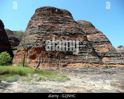 Eine Nahaufnahme von einem gestreiften Kuppel in die Bungle Bungle Range Stockfoto