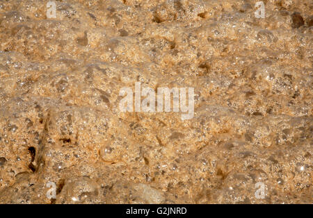 Eine Nahaufnahme der Schaum des Meeres am Strand von Happisburgh, Norfolk, England, Vereinigtes Königreich. Stockfoto