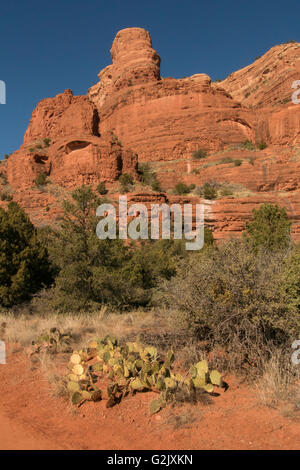 Malerischen Red rock Formation entlang Courthouse Butte Rock Trail Coconino National Forest Sedona Arizona Nordamerika geologisch- Stockfoto
