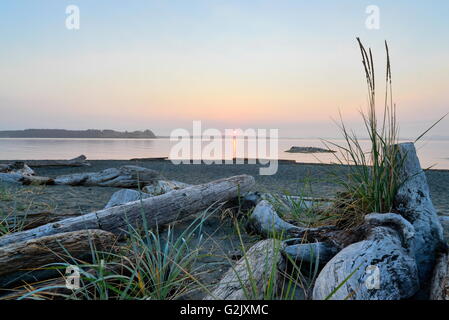 Strand-Szene auf Vancouver Island in der Nähe von Sidney, BC Stockfoto