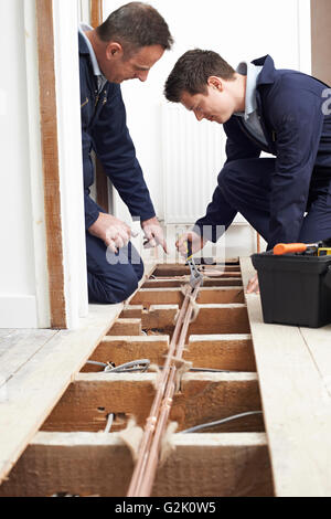 Klempner und Lehrling Einbau Zentralheizung im Haus Stockfoto