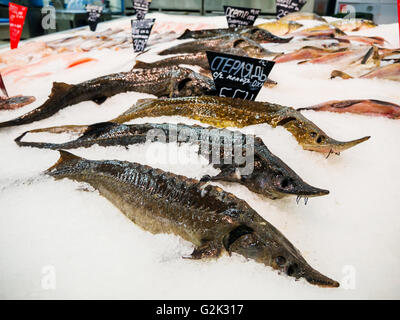 Frischfisch auf Eis zum Verkauf auf Markt Stockfoto