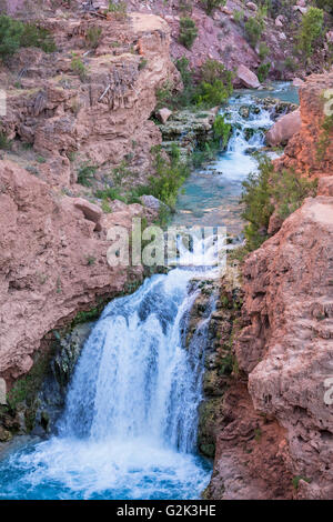 Ein unbenannter Wasserfall durchschneidet Havasu Canyon auf der Havasupai Indian Reservation in den Grand Canyon. Stockfoto