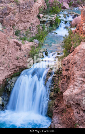 Ein unbenannter Wasserfall durchschneidet Havasu Canyon auf der Havasupai Indian Reservation in den Grand Canyon. Stockfoto