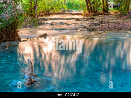 Sonnenlicht springt off die Klippen und leuchtet Reflexionen im Havasu Creek im Havasupai-Indianer-Reservat in den Grand Canyon Stockfoto