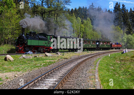 99 5902 verlassen die Railway Station von Drei Annen Hohne zum Brocken Bahnhof dämpfen. Stockfoto