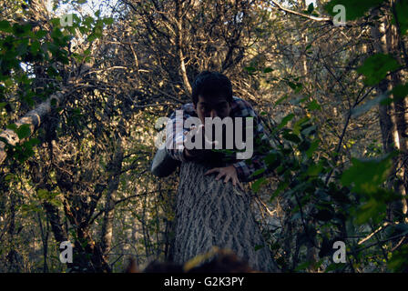 Junge in einem Baum fallen, Wahn perspektivische Ansicht Stockfoto