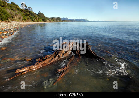 der Strand von Tukurua, in der Nähe von Collingwood Stockfoto