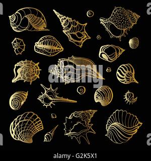 Goldene Muschel. Sammlung von Muscheln Stock Vektor