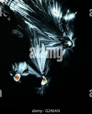 Künstlerischen Bild von Kristallen von Zitronensäure. Stockfoto