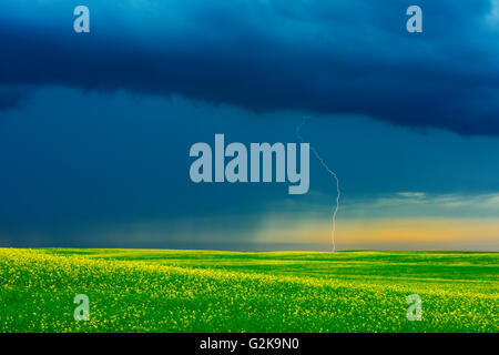 Blitzeinschlag während Sturm an der kanadischen Prärie Deloraine Manitoba Kanada Stockfoto