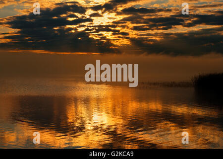 Nebel bei Sonnenaufgang auf Stör Lake Williamson Provincial Park-British Columbia-Kanada Stockfoto