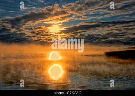 Nebel bei Sonnenaufgang auf Stör Lake Williamson Provincial Park-British Columbia-Kanada Stockfoto