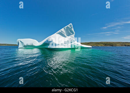 Eisberge schwimmen im Atlantik in der Nähe von St. Anthony & Labrador Newfoundland Canada Stockfoto