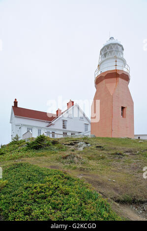 Lange Point Leuchtturm in Crow Kopf.  Twillingate Neufundland & Labrador Kanada Stockfoto