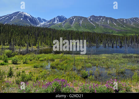 St. Elias Mountains in der Nähe von Haines Junction Yukon Kanada Stockfoto