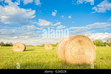 Großen Heuballen rollt in einem grünen Feld mit blauem Himmel und Wolken Stockfoto