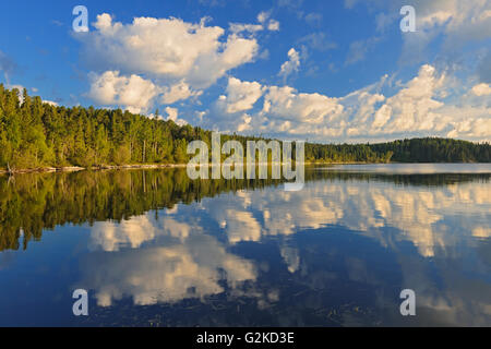 Cumulus-Wolken reflektiert in Lac Seul Ear Falls Ontario Kanada Stockfoto