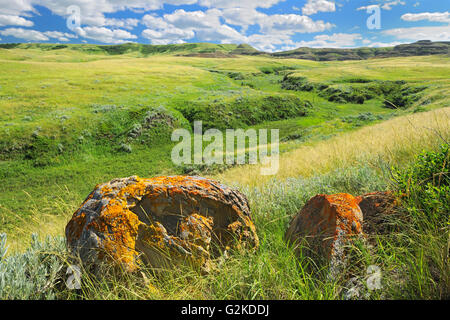 Killdeer Badlands. East Block Grasslands National Park Saskatchewan Kanada Stockfoto