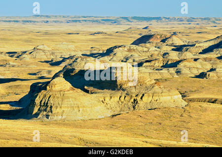 Killdeer Badlands (Ostblock) Grasslands National Park Saskatchewan Kanada Stockfoto