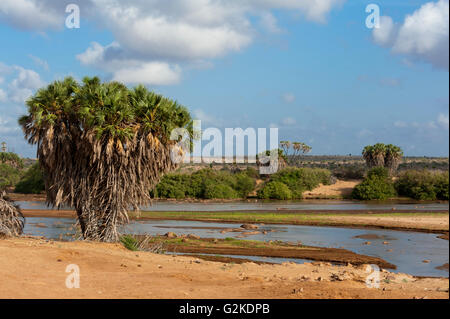 Küstenprovinz Tsavo River, Tsavo East Nationalpark, Kenia Stockfoto