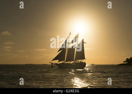 Segelschiff bei Sonnenuntergang, Key West, Key West, Florida Keys, Florida, Vereinigte Staaten von Amerika Stockfoto