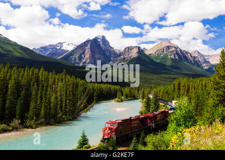 Ein Güterzug der Canadian Pacific bei Morant Kurve entlang des Bow River am Bow Valley Parkway in der Nähe von Banff, Alberta Stockfoto