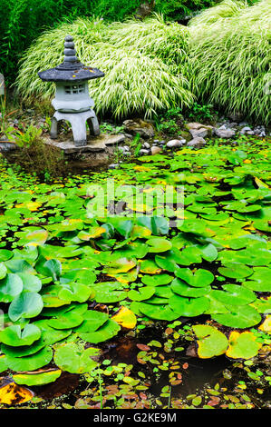 Eine japanische Laterne sitzt neben einem Seerosenteich im japanischen Garten auf Mayne Island, Britisch-Kolumbien Stockfoto