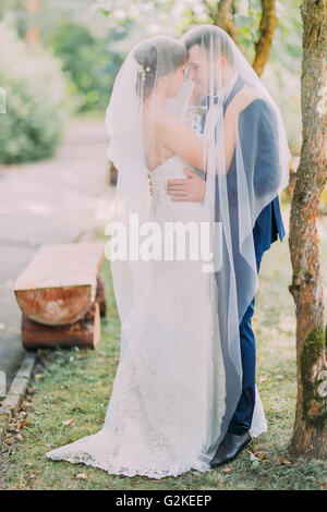 Braut im weißen Kleid und romantische Bräutigam halten einander unter Schleier Stockfoto