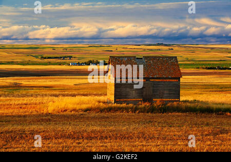 Eine Scheune auf der Prärie, Saskatchewan, Kanada Stockfoto