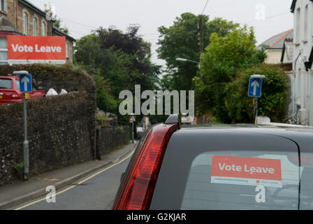 Brexit Abstimmung verlassen Zeichen Cornwall 2016 UK HOMER SYKES Stockfoto